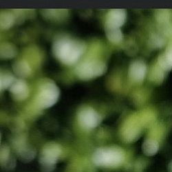 Pâté de Canard au Magrets séchés. Terrine 120 grs.Délicieux.