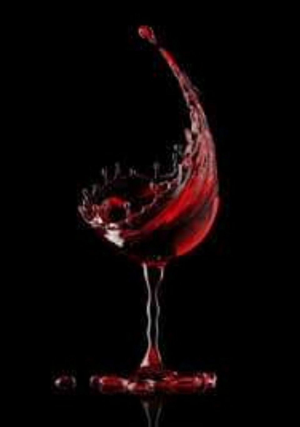 L'Amour du Vin