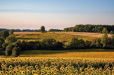 * La Belle Campagne Gersoise *